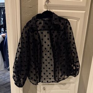 Boston Proper Sheer Black Polka Dot Blouse